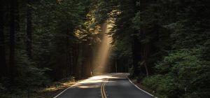 José Ramos Psiquiatra Slider imagem 2